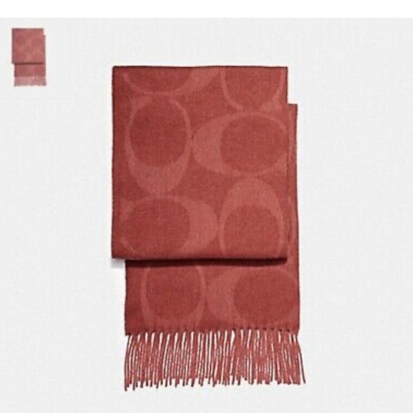 NWT COACH F77673 Women's Signature C Muffler Wool Silk Cashmere Scarf - Picture 1 of 1